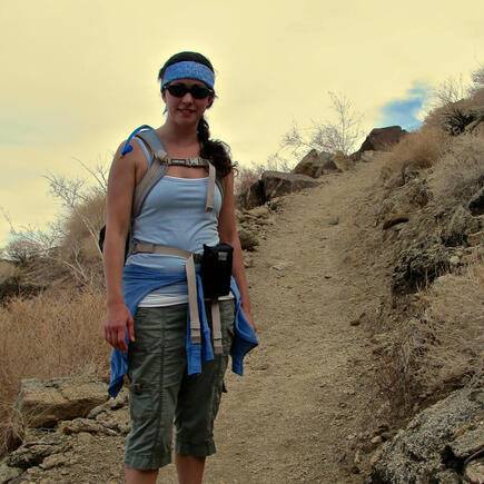 the Menander the Menander